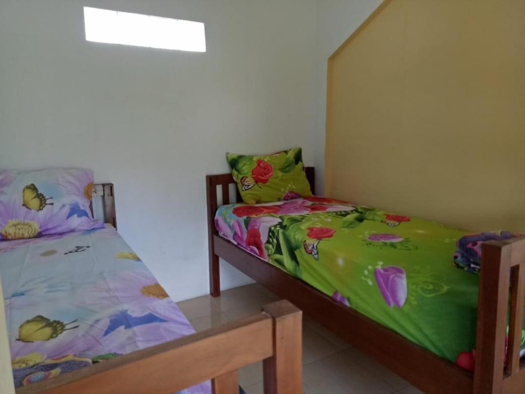 Dannu'S Homestay & Ijen, Bromo, Meru Betiri Sukomade Tours 바뉴왕기 외부 사진
