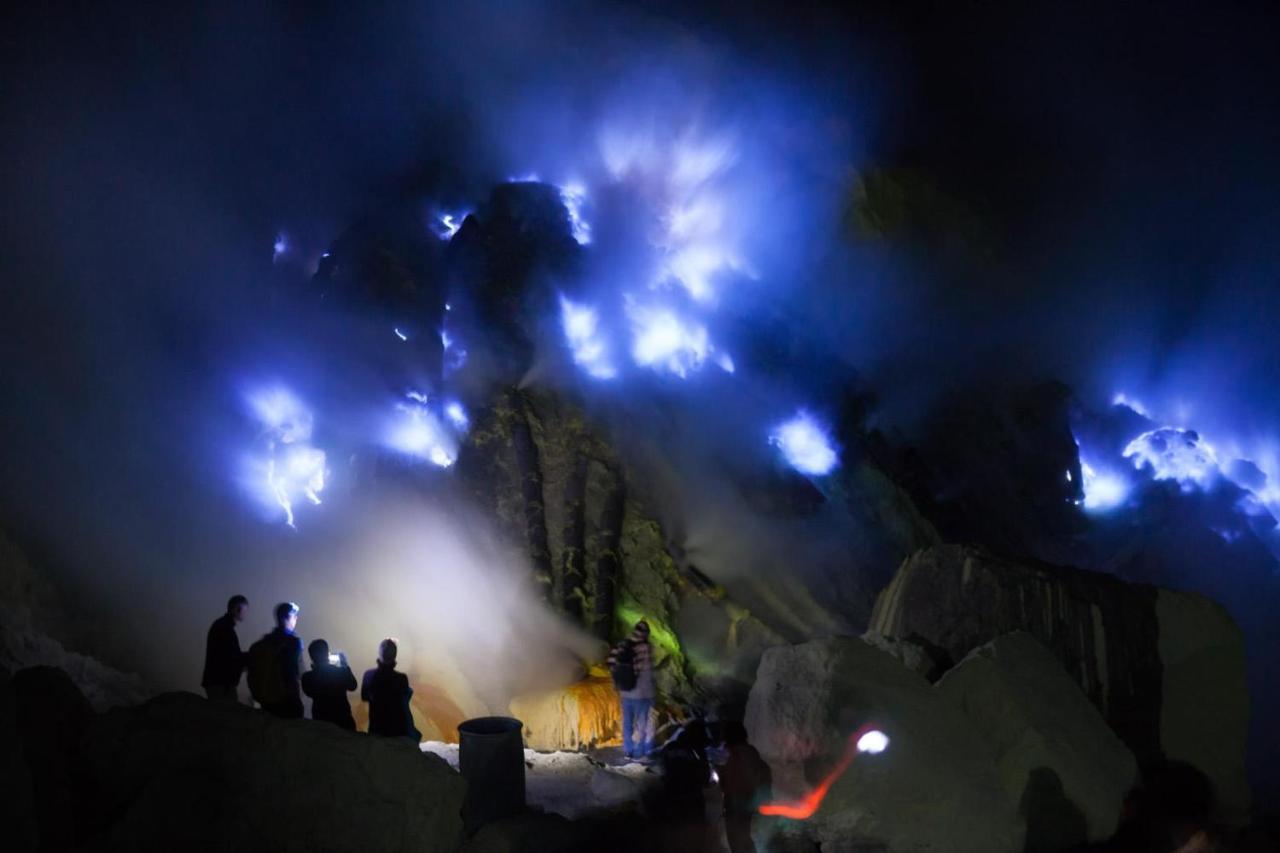 Dannu'S Homestay & Ijen, Bromo, Meru Betiri Sukomade Tours 바뉴왕기 외부 사진