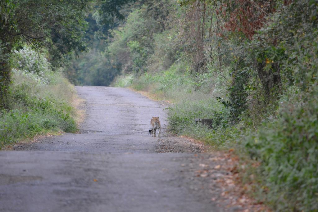 Dannu'S Homestay & Ijen, Bromo, Meru Betiri Sukomade Tours 바뉴왕기 외부 사진