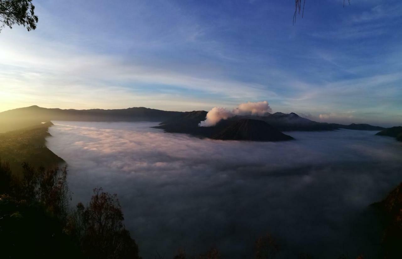 Dannu'S Homestay & Ijen, Bromo, Meru Betiri Sukomade Tours 바뉴왕기 외부 사진